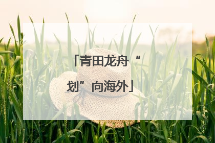 青田龙舟“划”向海外