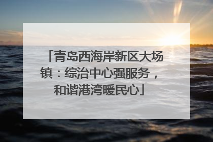 青岛西海岸新区大场镇：综治中心强服务，和谐港湾暖民心