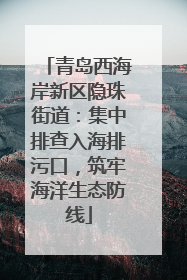 青岛西海岸新区隐珠街道：集中排查入海排污口，筑牢海洋生态防线