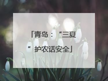 青岛：“三夏”护农话安全