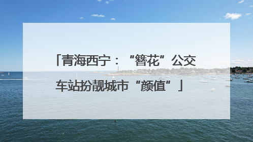 青海西宁:“簪花”公交车站扮靓城市“颜值”