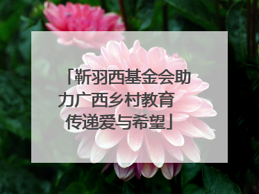 靳羽西基金会助力广西乡村教育 传递爱与希望