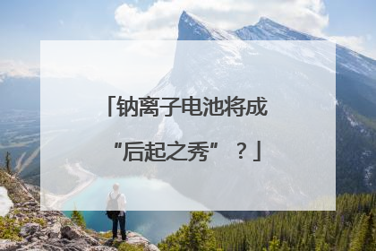 钠离子电池将成“后起之秀”？
