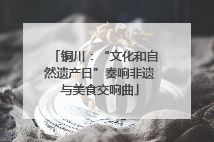 铜川：“文化和自然遗产日”奏响非遗与美食交响曲
