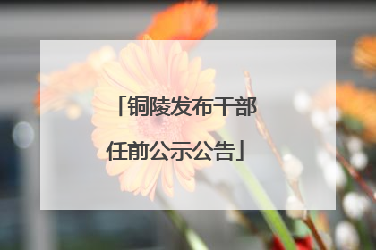 铜陵发布干部任前公示公告