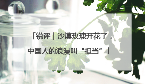 锐评｜沙漠玫瑰开花了，中国人的浪漫叫“担当”