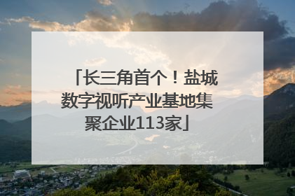长三角首个！盐城数字视听产业基地集聚企业113家