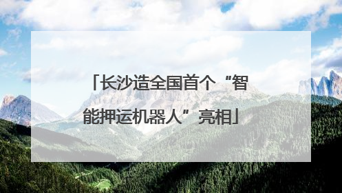长沙造全国首个“智能押运机器人”亮相
