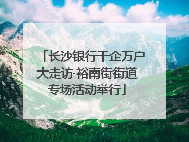 长沙银行千企万户大走访·裕南街街道专场活动举行