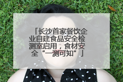 长沙首家餐饮企业自建食品安全检测室启用，食材安全“一测可知”