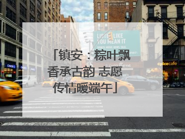 镇安：粽叶飘香承古韵 志愿传情暖端午