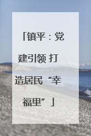 镇平：党建引领 打造居民“幸福里”