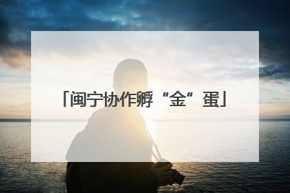 闽宁协作孵“金”蛋