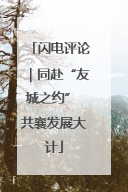 闪电评论|同赴“友城之约” 共襄发展大计