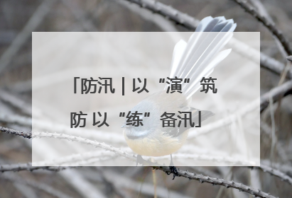 防汛｜以“演”筑防 以“练”备汛