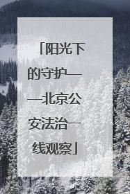 阳光下的守护——北京公安法治一线观察