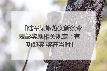 陆军某旅落实新条令表彰奖励相关规定：有功即奖 奖在当时