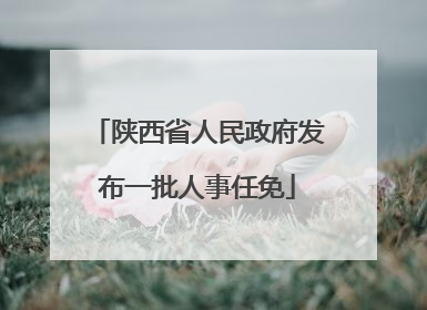 陕西省人民政府发布一批人事任免