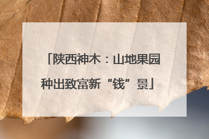 陕西神木：山地果园种出致富新“钱”景