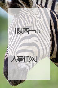 陕西一市人事任免