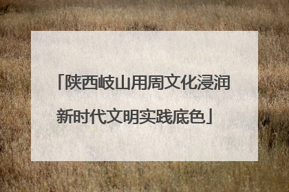 陕西岐山用周文化浸润新时代文明实践底色