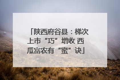 陕西府谷县：梯次上市“巧”增收 西瓜富农有“蜜”诀