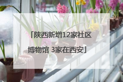 陕西新增12家社区博物馆 3家在西安