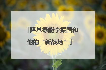 隆基绿能李振国和他的“新战场”