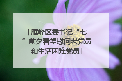 雁峰区委书记“七一”前夕看望慰问老党员和生活困难党员