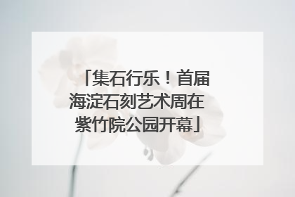 集石行乐！首届海淀石刻艺术周在紫竹院公园开幕