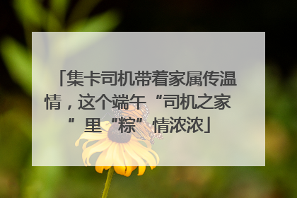 集卡司机带着家属传温情，这个端午“司机之家”里“粽”情浓浓