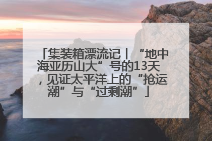 集装箱漂流记丨“地中海亚历山大”号的13天，见证太平洋上的“抢运潮”与“过剩潮”