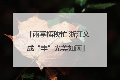 雨季插秧忙 浙江文成“丰”光美如画