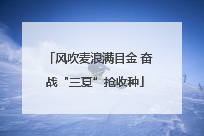 风吹麦浪满目金 奋战“三夏”抢收种