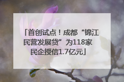 首创试点！成都“锦江民营发展贷”为118家民企授信1.7亿元