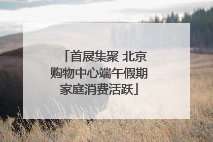 首展集聚 北京购物中心端午假期家庭消费活跃