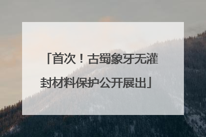 首次！古蜀象牙无灌封材料保护公开展出
