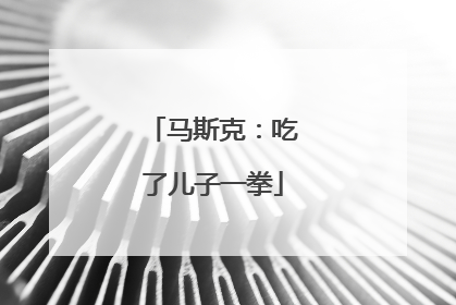 马斯克：吃了儿子一拳
