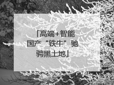 高端+智能 国产“铁牛”驰骋黑土地