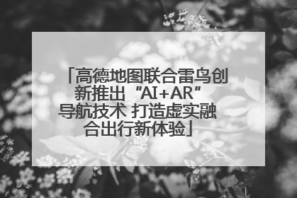 高德地图联合雷鸟创新推出“AI+AR”导航技术 打造虚实融合出行新体验