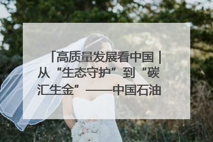 高质量发展看中国｜从“生态守护”到“碳汇生金”——中国石油大庆油田绿色蝶变