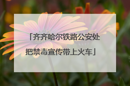 齐齐哈尔铁路公安处把禁毒宣传带上火车
