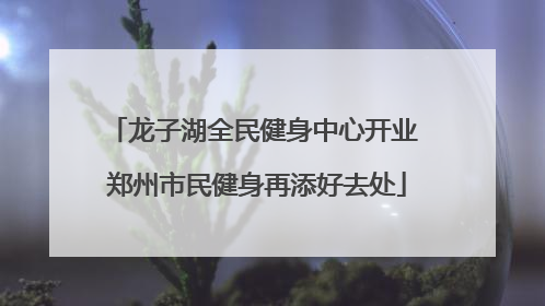 龙子湖全民健身中心开业 郑州市民健身再添好去处
