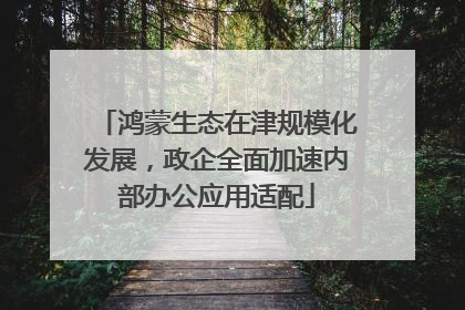 鸿蒙生态在津规模化发展，政企全面加速内部办公应用适配