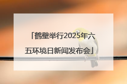 鹤壁举行2025年六五环境日新闻发布会