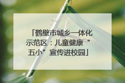 鹤壁市城乡一体化示范区：儿童健康“五小”宣传进校园