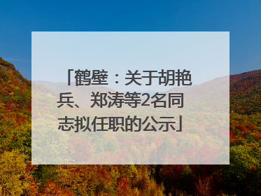 鹤壁：关于胡艳兵、郑涛等2名同志拟任职的公示