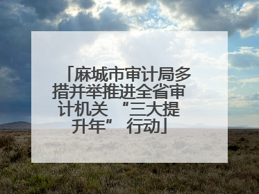 麻城市审计局多措并举推进全省审计机关 “三大提升年” 行动