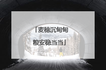 麦穗沉甸甸 粮安稳当当