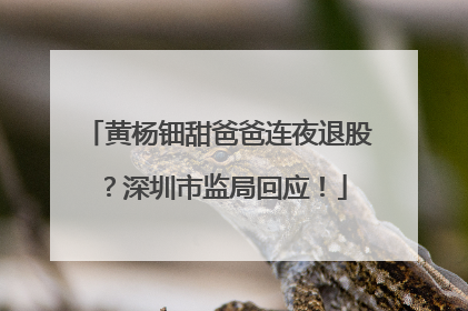 黄杨钿甜爸爸连夜退股？深圳市监局回应！